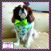 Flamingo Beach Pet Bandana Flamingo Beach Pet Bandana