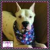 Stars and Stripes Pet Bandana