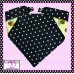 Bee Happy Pet Bandana