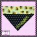 Bee Happy Over Collar Pet Bandana