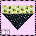 Bee Happy Over Collar Pet Bandana