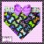 Wild Orchid Bow (Bone Appetreats) +$3.00