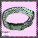Skittle Dots Pet Collar