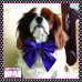 Two-Tone Purple Dots - Sailor Bow