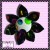 Bubbles - Black