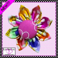 Happy Daisies Pink Collar Flower Happy Daisies Pink Collar Flower