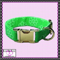 Mint Daisies Pet Collar