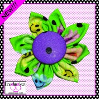 Smiling Daisies Green Collar Flower Smiling Daisies Green Collar Flower