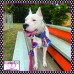 Super Pup Pet Tie