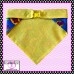 Super Pup Pet Bandana